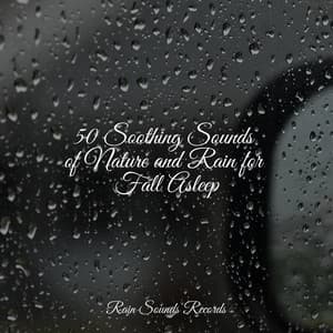 50 Soothing Sounds of Nature and Rain for Fall Asleep - Ocean Sounds