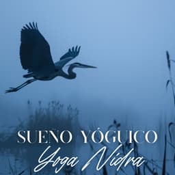 Sueño Yóguico: Descanso Profundo Sin Dormir, Yoga Nidra para Una Mente Tranquila y un Mejor Sueño - Academia de Música de Yoga Pilates