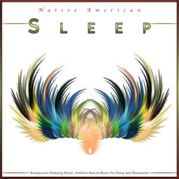 Native American Sleep: Background Sleeping Music, Ambient Nature Music for Sleep and Relaxation - Native American Flute