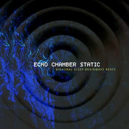 Echo Chamber Static - Binaural Sleep Brainwave Beats