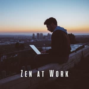 Zen at Work: Piano Reflections - music piano med