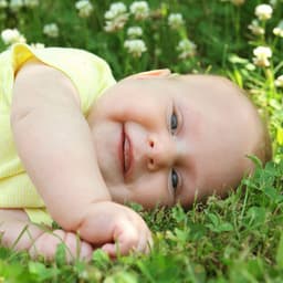 Forest Insect Serenity: Calming Ambient Sounds for Baby Relaxation - Calming Rainforest Sounds