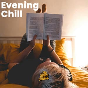 Evening Chill Playlist - The Remix Station