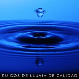 Ruidos De Lluvia De Calidad - HD lluvia y agua