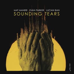 Sounding Tears - Mat Maneri