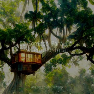 50 Sonidos Para La Serenidad Total - Meditación Maestro