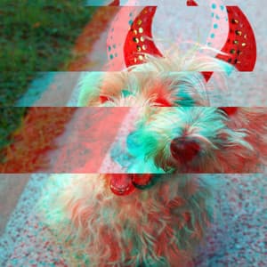 Piano Duo and Alto Saxophone - Bgm for Sleepy Hound Zone - Relaxation Music For Dogs