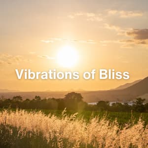 Vibrations of Bliss - 528Hz Open Heart Chakra