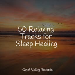50 Relaxing Tracks for Sleep Healing - Pro Sounds of Nature