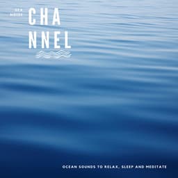 Ocean Sounds to Relax, Sleep and Meditate - Sea Noise Channel