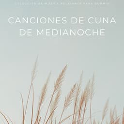 Canciones De Cuna De Medianoche: Colección De Música Relajante Para Dormir - Estrellita Dónde Estás
