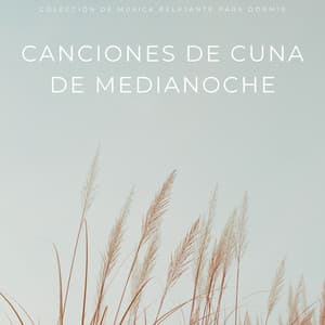 Canciones De Cuna De Medianoche: Colección De Música Relajante Para Dormir - Estrellita Dónde Estás