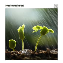 Nachwachsen - Regen zum Schlafen
