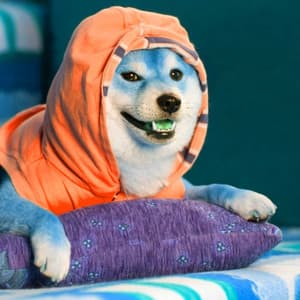 Feelings for Chilled Doggy Hour - Dog Sleeping Soundtracks Deluxe