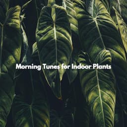 Morning Tunes for Indoor Plants - Music for Retail Stores