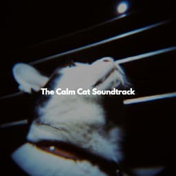 The Calm Cat Soundtrack - Jazz Instrumental Relax Center