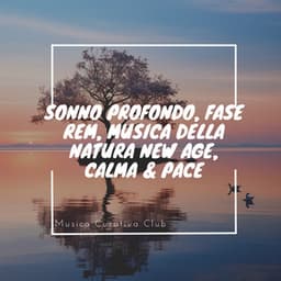 Sonno Profondo, Fase REM, Musica della Natura New Age, Calma & Pace - Musica Curativa Club