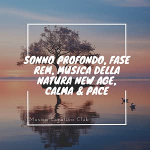 Sonno Profondo, Fase REM, Musica della Natura New Age, Calma & Pace - Musica Curativa Club