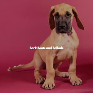 Bark Beats and Ballads - Musica per la Colazione