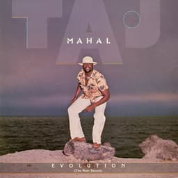Evolution - Taj Mahal