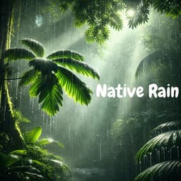 Native Rain - Rainforest