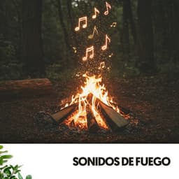 Sonidos de Fuego: Danza en llamas - Dog Relaxation