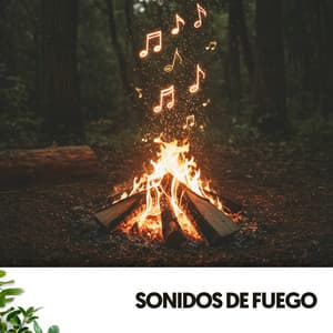 Sonidos de Fuego: Danza en llamas - Dog Relaxation