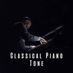 Classical Piano Tone - Relaxing Piano Jazz Music Ensemble