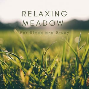 Relaxing Meadow for Sleep and Study - Natural Sounds Selections