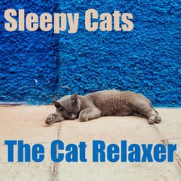 Sleepy Cats - The Cat Relaxer
