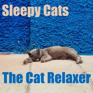Sleepy Cats - The Cat Relaxer