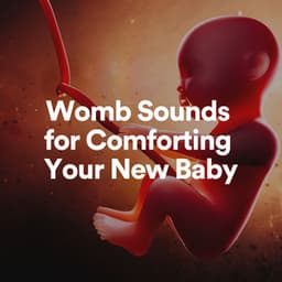 Womb Sounds for Comforting Your New Baby - Womb Sounds Heartbeat