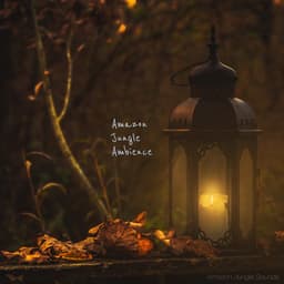 Amazon Jungle Ambience - Amazon Jungle Sounds