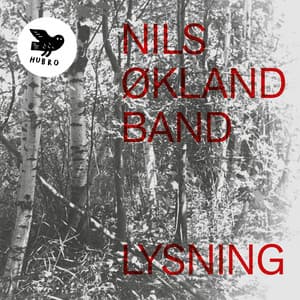 Lysning - Nils Økland