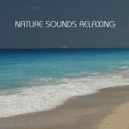 Nature Sounds Relaxing: the Most Relaxing Music Imaginable. Relaxing Sounds of Nature - India Ink