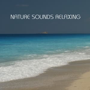 Nature Sounds Relaxing: the Most Relaxing Music Imaginable. Relaxing Sounds of Nature - India Ink