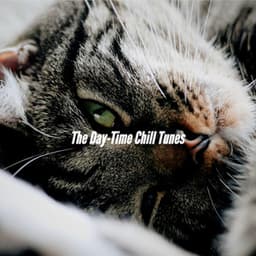 The Day-Time Chill Tunes - Coffee Shop Lounge