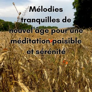 Mélodies tranquilles de nouvel âge pour une méditation paisible et sérénité - New Age Musique Zen