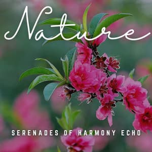 Tranquil Harmony: Soundscapes for Relaxation - Power and Energy