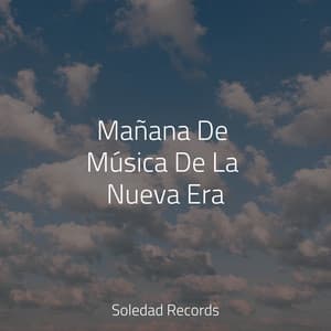 Mañana De Música De La Nueva Era - Chill Out con Duende