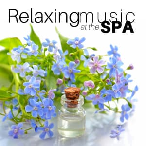 Relaxing Music at the Spa - Sauna & Relax