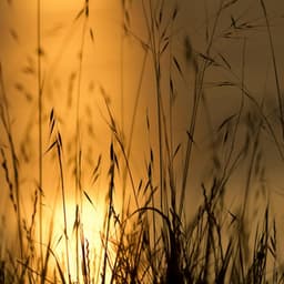 365 Balance: Channeling You - Yoga Music