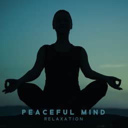 Peaceful Mind Relaxation - Deep Meditation Music Zone