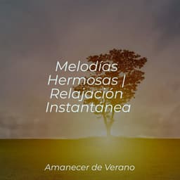 Melodías Hermosas | Relajación Instantánea - Sonidos De Truenos y Lluvia