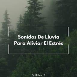 Sonidos De Lluvia Para Aliviar El Estrés Vol. 1 - Frutas de lluvia
