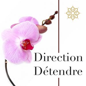 Direction Détendre - Musique Instrumentale Apaisante et Calmante - Musique Douce Ensemble