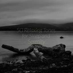 50 Relaxing Tones for Sleep and Serenity - Lucid Dreaming World-Collective Unconscious Mind