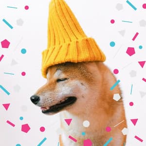 Guitar Chill Out - Background for Doggy Anxiety - Dog Sleeping Soundtracks Deluxe