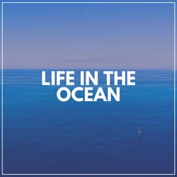 Life in the Ocean - Tailormade Ocean Waves