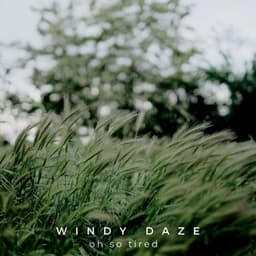 Windy Daze - Oh so Tired
